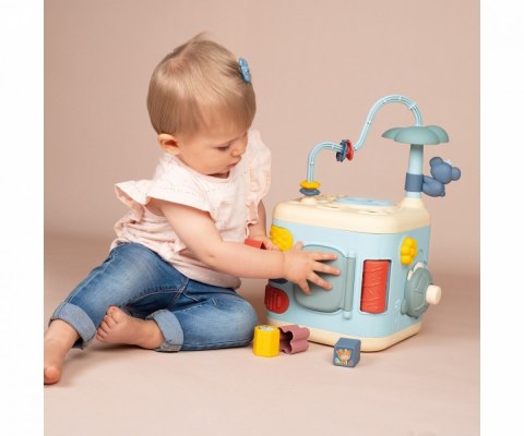 Kostka Little