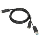 Stacja dokująca USB-C Universal DV4K DS with 100W PD