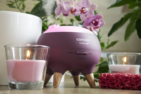 Dyfuzor zapachu Concept Perfect Air Berry DF1011 Dyfuzor zapachu Concept Perfect Air Berry DF1011