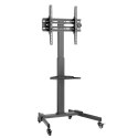 Stojak mobilny do TV 32-55cali, 35kg, półka AV