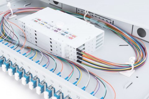 Przełącznica światłowodowa/panel krosowy z wyposażeniem 19 cali 1U, 24x LC duplex, OS2, zawiera pigtaile, adaptery, tacki, wysuw Przełącznica światłowodowa/panel krosowy z wyposażeniem 19 cali 1U, 24x LC duplex, OS2, zawiera pigtaile, adaptery, tacki, wysuw