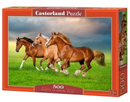 Puzzle 500 elementów Konie biegnące wiosną