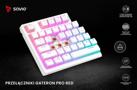 Klawiatura mechaniczna bezprzewodowa PHENIX WHITE Gateron Red Pro, Pudding Klawiatura mechaniczna bezprzewodowa PHENIX WHITE Gateron Red Pro, Pudding