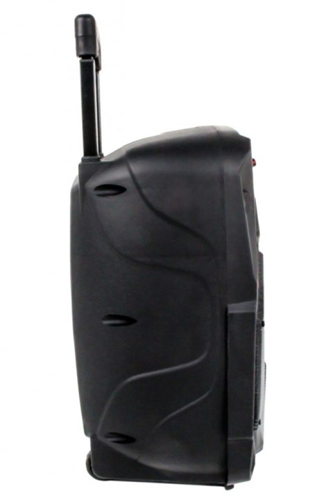 Głośnik APS22 system audio Bluetooth Karaoke Głośnik APS22 system audio Bluetooth Karaoke