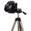 Statyw fotograficzny Star 75 Statyw fotograficzny Star 75
