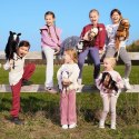 Koń na kiju Hobby Horse HOPPIHORSE A4 Chestnut - brąz, maść kasztanowata Koń na kiju Hobby Horse HOPPIHORSE A4 Chestnut - brąz, maść kasztanowata