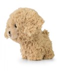 Maskotka TEDDY PETS Złoty pudel