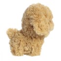 Maskotka TEDDY PETS Złoty pudel
