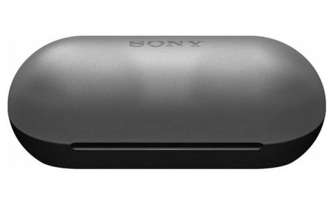 Słuchawki WF-C500 czarny