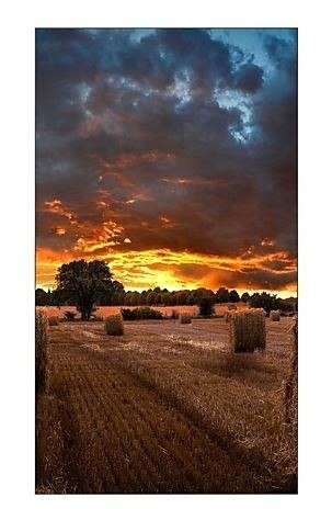 Monitor profesjonalny VM55B-U 55 cali Video Wall Matowy 24h/7 500(cd/m2) 1920 x 1080(FHD) N/A 3 lata On-Site (LH55VMBUBGBXEN)