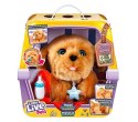 Maskotka interaktywna Little Live Pets Tuluś