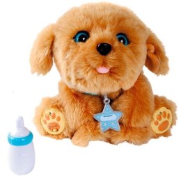 Maskotka interaktywna Little Live Pets Tuluś