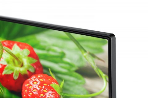Telewizor QLED 50 cali 50QA5D63DG Telewizor QLED 50 cali 50QA5D63DG