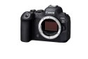 Aparat bezlusterkowy EOS R6 Mark II Body 5666C004