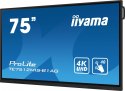 Monitor interaktywny 75 cali TE7512MIS-B1AG INFRARED,40pkt,IPS,4K,7H,WiFi
