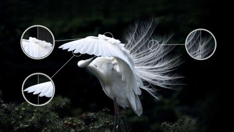 Telewizor QLED 43 cale 43C645