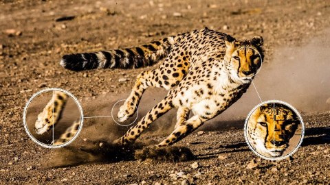 Telewizor QLED 50 cali 50C645