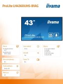 Monitor wielkoformatowy 43 cale LH4360UHS-B1AG matowy 24h/7 500(cd/m2) VA 3840 x 2160 UHD(4K) Android.11 Wifi CMS(iiSignage2)