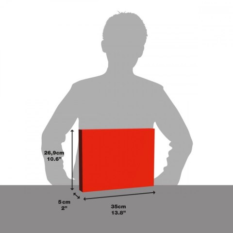 Puzzle 1000 elementów World Football Stars