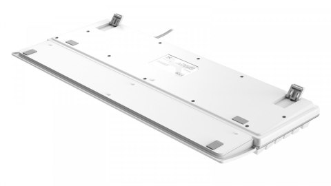 Klawiatura Frost RGB srebrno-biała