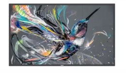 Monitor 65BDL3511Q 65 cali Public Display