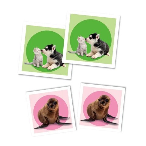 Gra Memo Zwierzątka