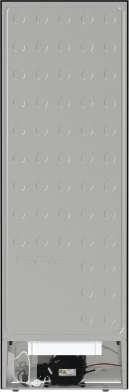 Chłodziarka R619EABK6