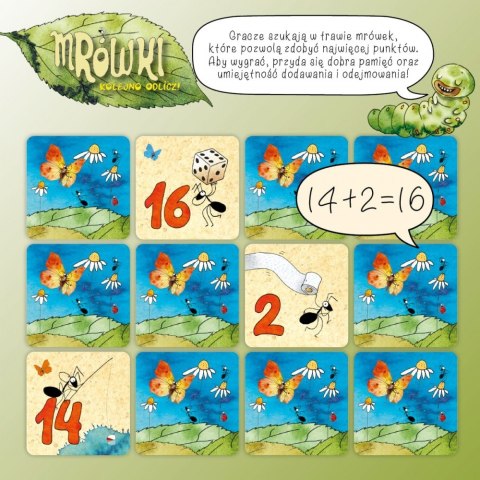 Gra Mrówki - Kolejno odlicz!