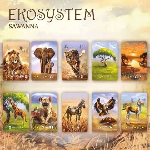 Gra Ekosystem 3 - Sawanna