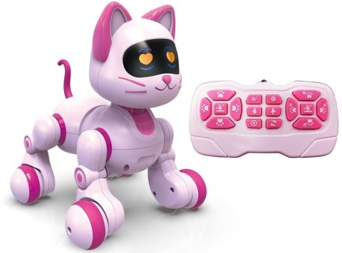 Cyber Kot R/C z programowaniem