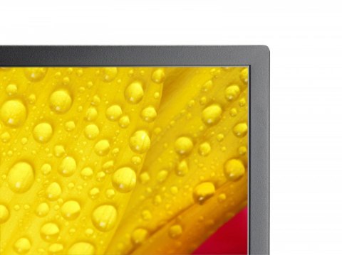 Monitor wielkoformatowy MultiSync M431-2 43 cale UHD 500cd/m2 24/7