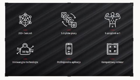 Stacja treningowa SMART GYM PRO Stacja treningowa SMART GYM PRO