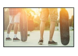 Monitor wielkoformatowy MultiSync M491 PG-2 49 cali UHD 500cd/m2 24/7