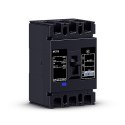 Wyłącznik UPS SMBCB250 Circuit Breaker 250A, for the SMBF40-26N Battery Cabinet