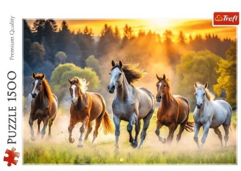 Puzzle 1500 elementów Dzikie konie