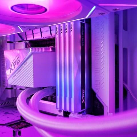 Pamięć XPG Lancer NEON RGB DDR5 6000 DIMM 32GB (2x16) CL30