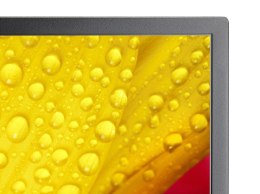 Monitor wielkoformatowy MultiSync M551-2 55 cali UHD 500cd/m2 24/7