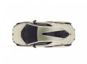 Auto zdalnie sterowane RC Scale Car Lamborghini Sian