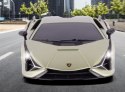 Auto zdalnie sterowane RC Scale Car Lamborghini Sian