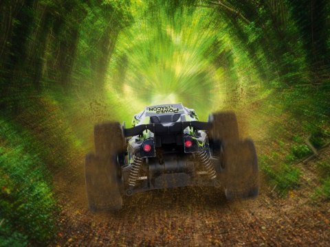 Auto zdalnie sterowane RC Truggy Power Dragon