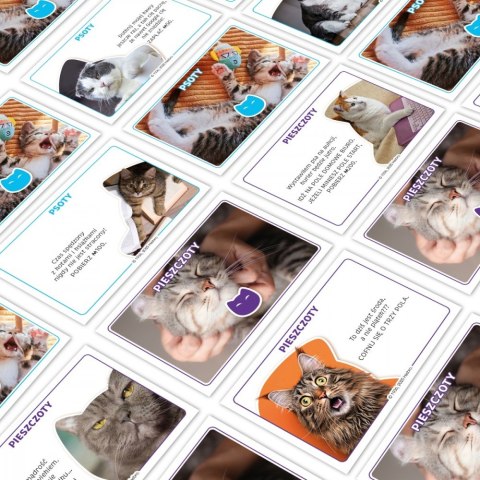 Gra Monopoly Koty 2025