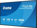 Monitor 43 cale LH4375UHS-B2AG,24/7,IPS,ANDROID.11,4K, WiFi, iiSignage2, FailOver, EShare, 24/7, full daisy chain