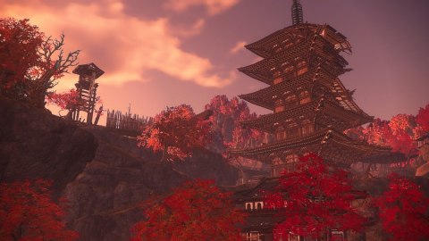 Gra Nintendo Switch 2 Wild Hearts S