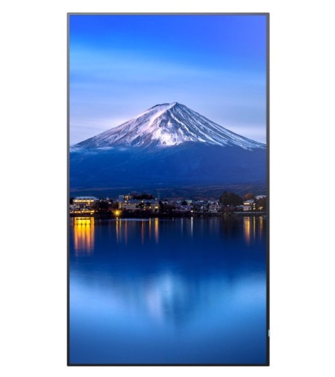 Monitor wielkoformatowy MultiSync P656 65 cali UHD 700cd/m2 24/7