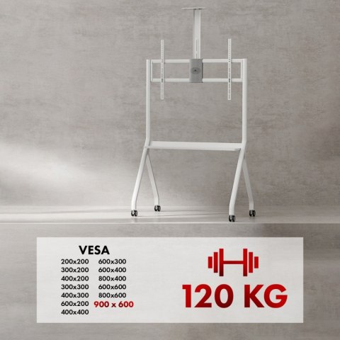 Stojak do TV na kółkach MC-114W Stojak do TV na kółkach MC-114W