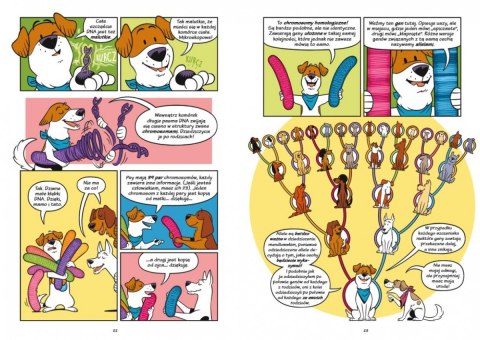 Książeczka Psy - od drapieżników do obrońców