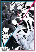 Karty Scarlet & Violet White Flare & Black Bolt Unova Poster