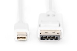 Kabel połączeniowy Displayport 1080p 60Hz FHD Typ miniDP/DP M/M 3m Biały