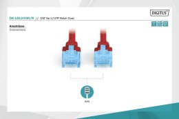 Patch cord U/UTP kat.5e PVC 3m czerwony
