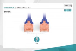 Patch cord U/UTP kat.6 PVC 0,5m Niebieski